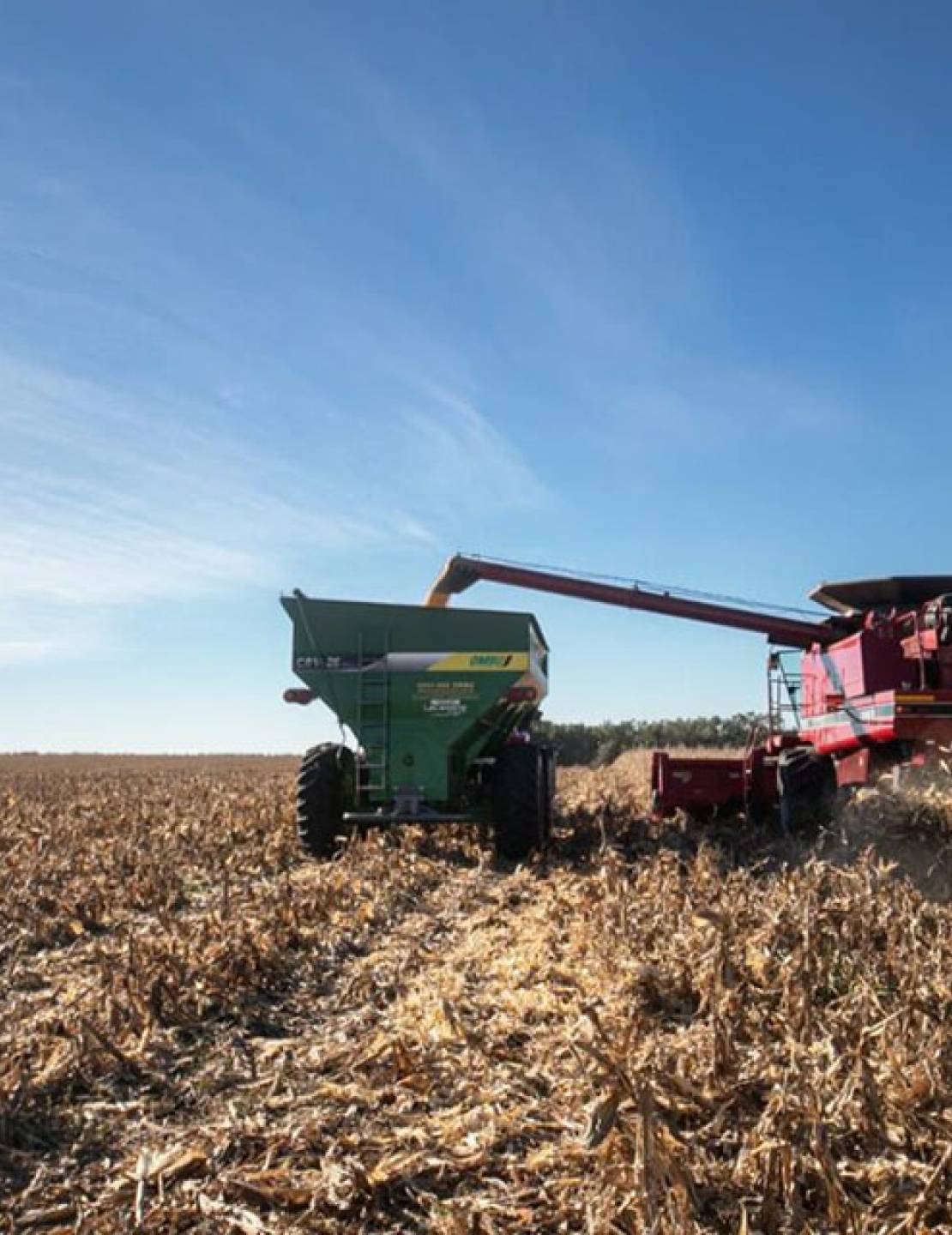 El Presidente anunció una baja de retenciones para el campo