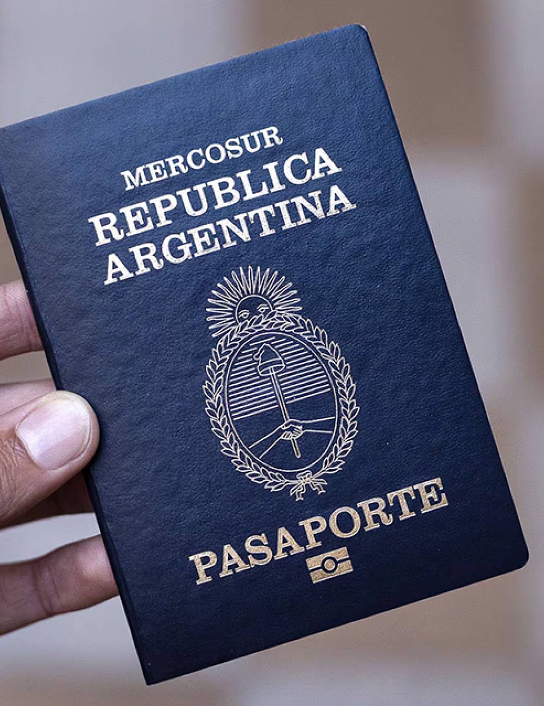 Pasaportes: cuáles son las fallas y qué decidió el RENAPER