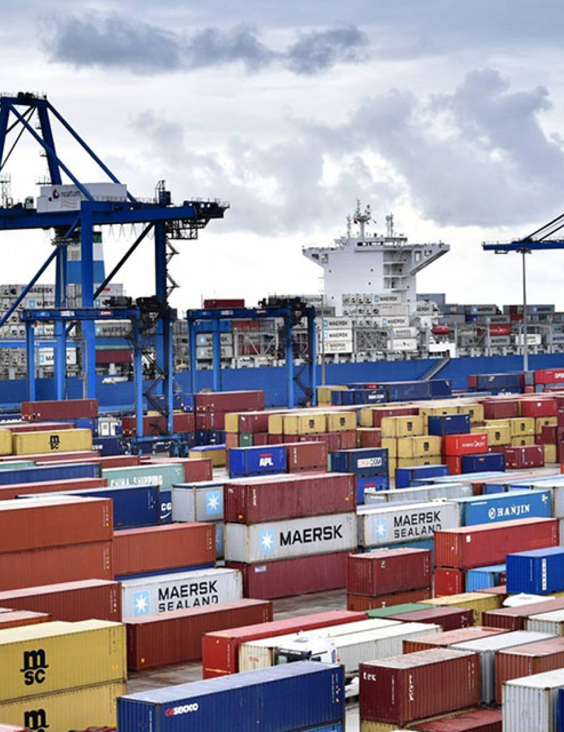 ARCA implementó el régimen de exportación monitoreada